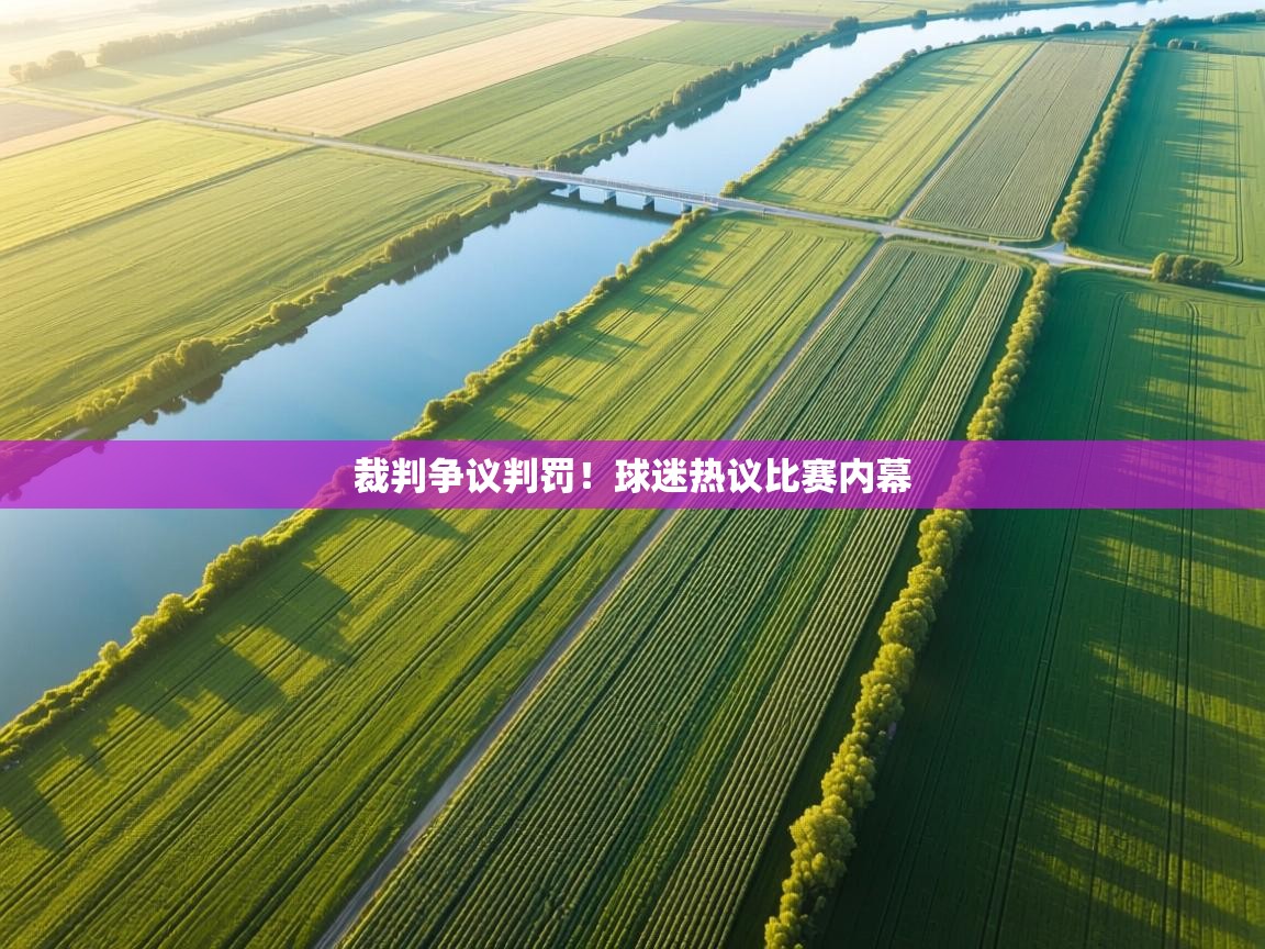 裁判争议判罚！球迷热议比赛内幕  第2张