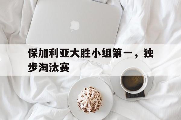 半岛体育app投注-保加利亚大胜小组第一，独步淘汰赛